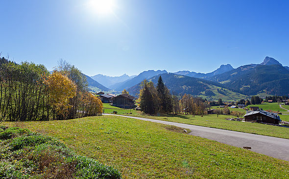 Gstaad Gruben | Projet - Luxueux Chalet à vendre - REF 265